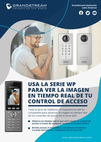 WP8xx-imagen-en-tiempo-real-con-la-serie-GDS